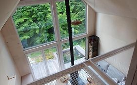 Schody do wody Domek z linią brzegową Kaszuby sauna goraca balia